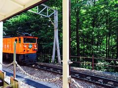 �ف[����񂳂�̍������J�S���ւ̓��e�ʐ^1