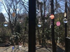 ͂͂񂳂̃TLb`[̌@Ղꂢւ̓eʐ^1