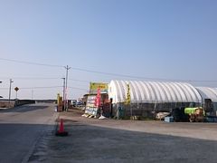 �X�k�v����̃J�L�̈����@�򗴊ۂւ̓��e�ʐ^1