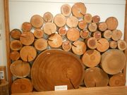 ݂񂳂̖؍ށEق̓eʐ^2