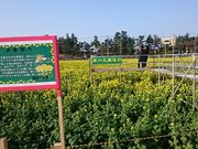 Xkv̋G߁EԌ̃X|bg`~`̓eʐ^1