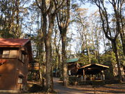 䂤炻񂳂̉rLv̓eʐ^2