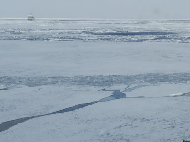 �ӕX�D��1��4�`5�ւł����A�\��ɉ����đD�𑝕ւ��Ă���悤�ł��B_�I�z�[�c�N�C�̗��X