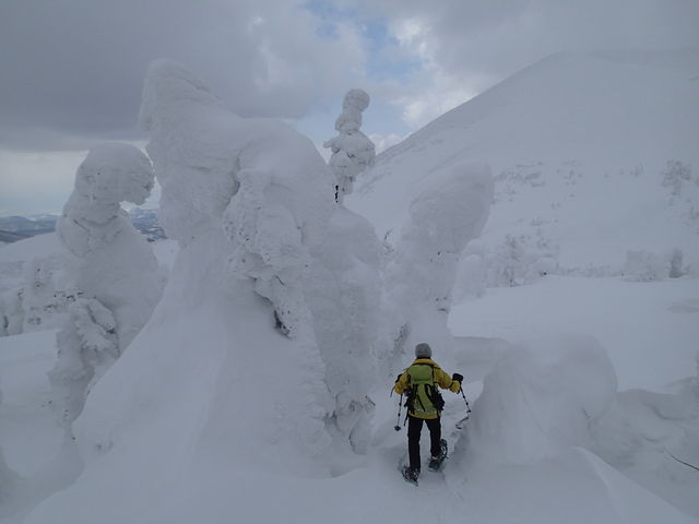 X^[̊ԂXm[V[nCN_bcR̎X