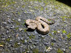 ܂ق̊όlbg[Nւ̓eʐ^1