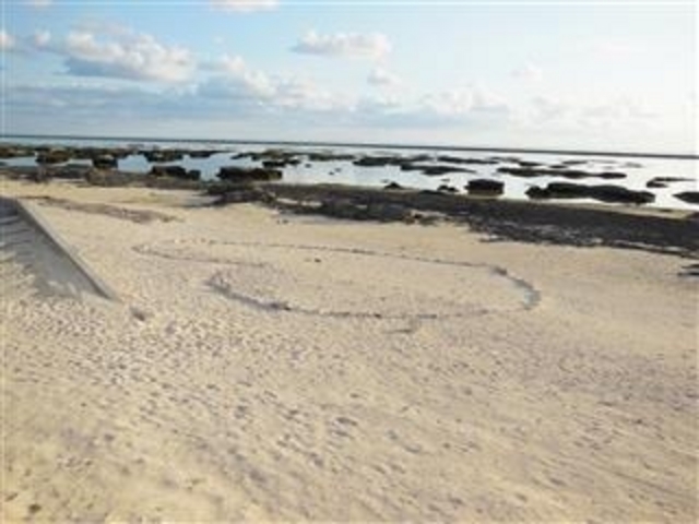 �Ðh�F����̑匴�V�����l�̓��e�ʐ^2