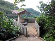 �Ðh�F����̈��Â�颐��̓��e�ʐ^3