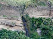 �Ðh�F����̈��Â�颐��̓��e�ʐ^4