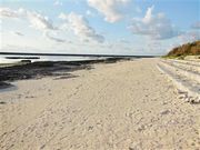 �Ðh�F����̑匴�V�����l�̓��e�ʐ^1