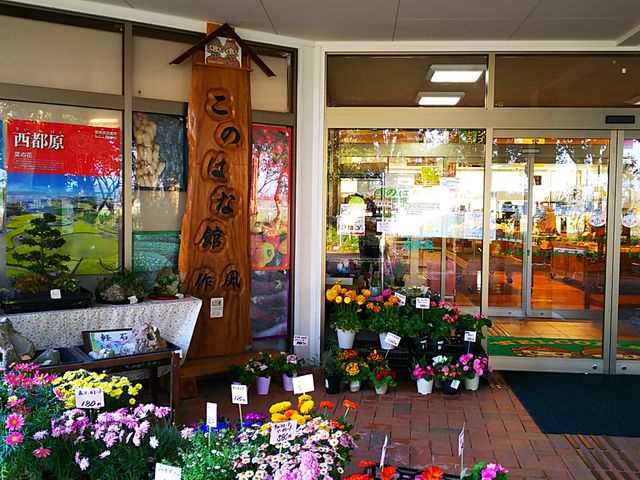 �ٓ�_���s���K�C�_���X�Z���^�[���̂͂Ȋ�