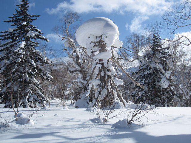 �X�L�[��ɕ����~�肽etc_�L�����X�m�[���[���h