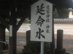 まさどさんの愛宕神社（千葉県野田市）の投稿写真1