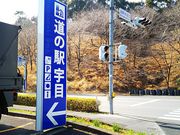 ˂񂳂̓̉wFڂ̓eʐ^1