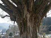 Tm����̏�@���̓��e�ʐ^2