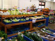 ˂񂳂̓̉w r^~ق̓eʐ^3