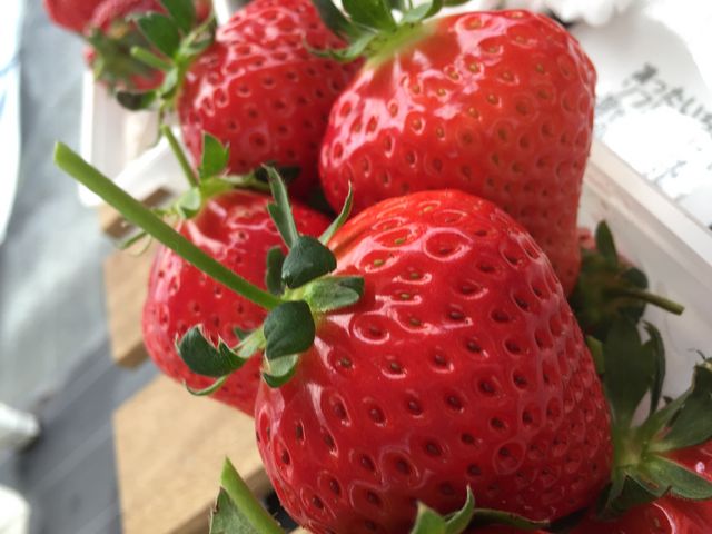 �Â��C�`�S_BERRYHOUSE