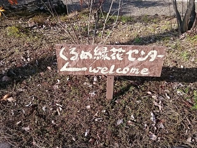 �Ŕ�_����ߗΉԃZ���^�[