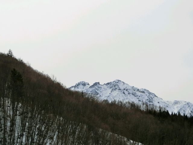 �w���|�[�g����Ċx��_�k�A���v�X�勴