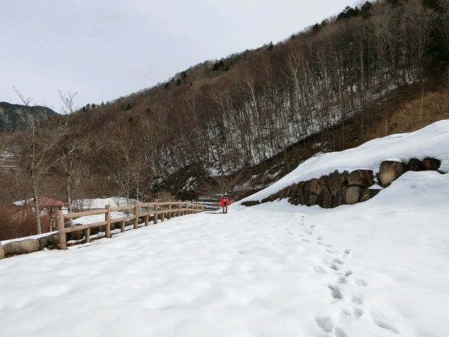 �����̐�̎Ζʂ��c_�k�A���v�X�勴