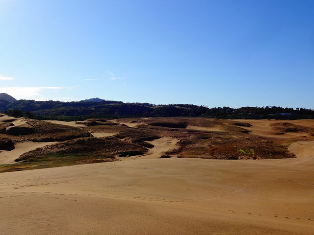 ���捻�u_���捻�u