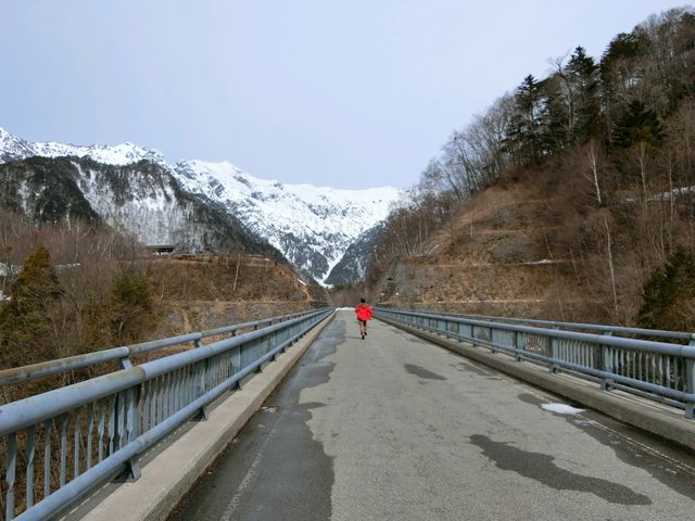 �k�A���v�X�勴��k�A���v�X�Ɍ������đS�͎����I_�k�A���v�X�勴