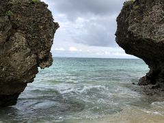 ݂̃JWAubtF nini/zeqArւ̓eʐ^1