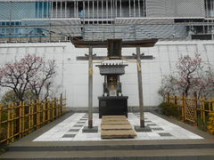 ayukononĩ][i@o__Ђւ̓eʐ^1