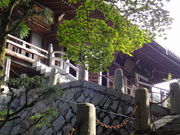 ���ǁ[����̔d�B��������u���̓��e�ʐ^1