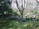 スヌ夫さんの石橋文化センターの日本庭園の投稿写真1