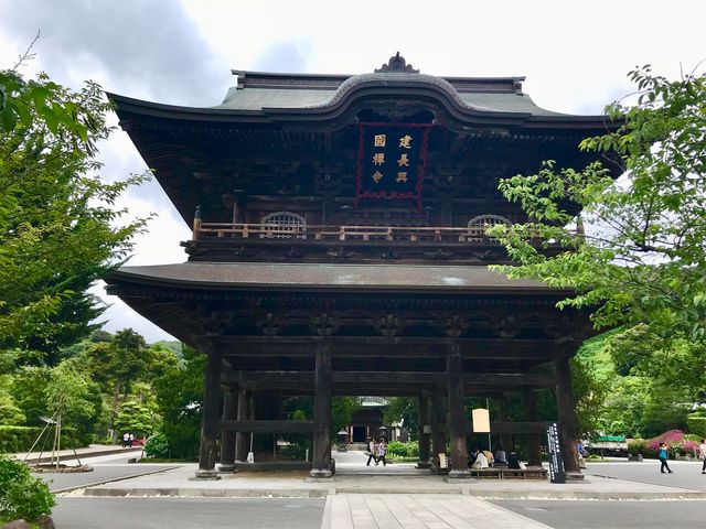 �y�������O��z_�������O��