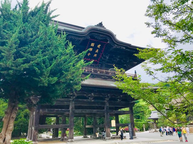 �y�������O��z_�������O��