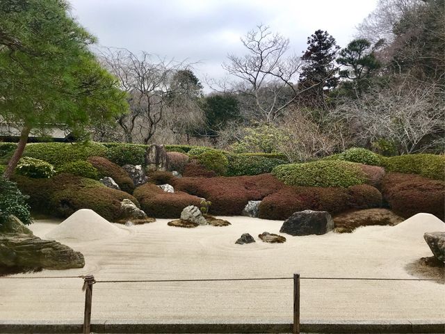 �y�뉀(�����@�j�z����O�͎̌R���뉀_�뉀(�����@�j