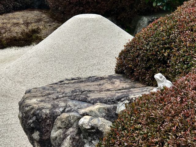 �y�뉀(�����@�j�z����O�͎̌R���뉀_�뉀(�����@�j