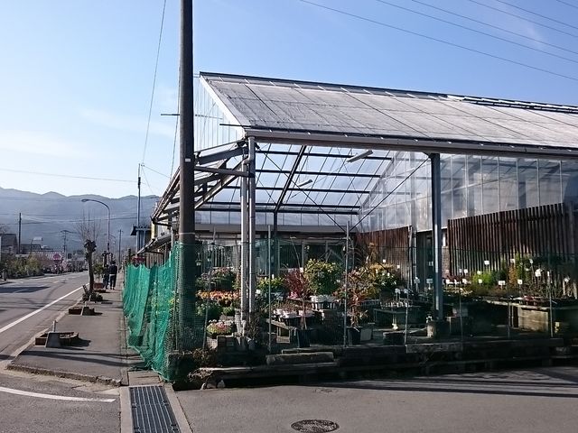 ��������̐A�؂����т܂�_����ߗΉԃZ���^�[