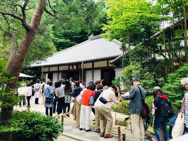 �y���� (�����@�j�z���z�ԃV�[�Y���̌��̑��̍s��A�I�[�v������ł���2�{�̒����ł�_���� (�����@�j