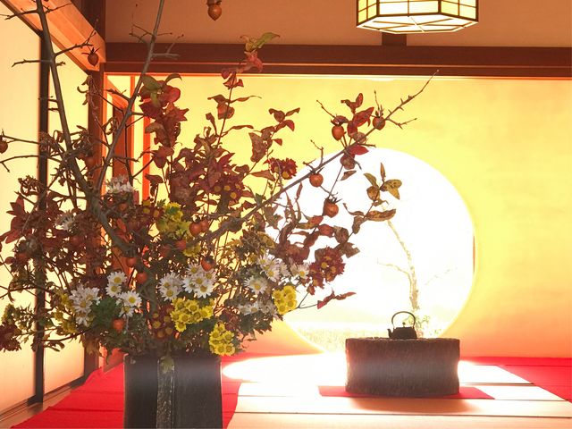 �y���� (�����@�j�z12����{�A��O�̂����΂ȂɃX�|�b�g�𓖂Ă�_���� (�����@�j