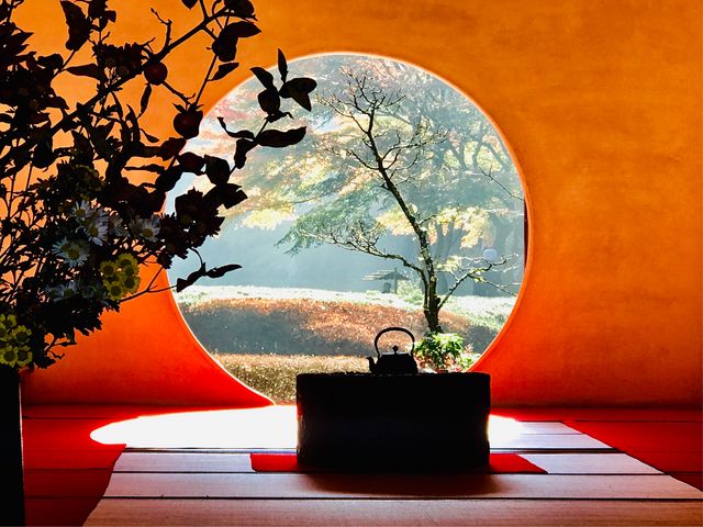 �y���� (�����@�j�z12����{�A�ŋ߂͍g�t���x���đ��̊O�͂܂����g�t_���� (�����@�j