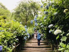 �߂̂�����̎R��(�����@)�ւ̓��e�ʐ^1