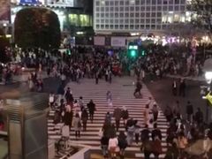 ݂̏aJwOXNu_ւ̓eʐ^1