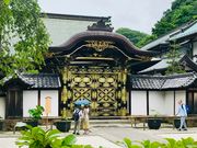 �߂̂�����̓���(�������j�̓��e�ʐ^3