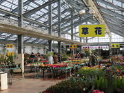 ǂ̓̉w Ԗɂ̓eʐ^2