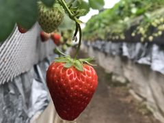 abõXgx[t@[Γcւ̓eʐ^1