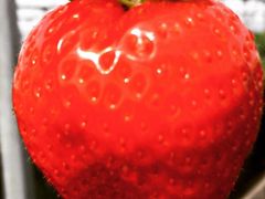 ꂱɂ񂱂̈{όgւ̓eʐ^1