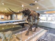 AB����̉��{��s���R�E�l�������ق̓��e�ʐ^2