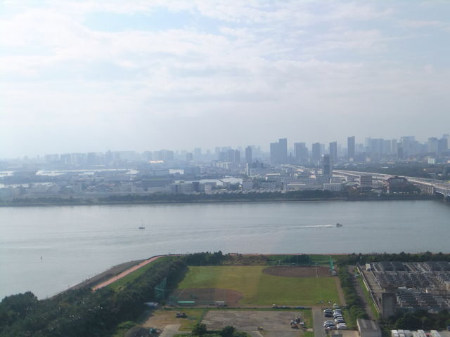 �_�C���ƉԂ̑�ϗ��Ԃ��瓌������_�_�C���ƉԂ̑�ϗ���