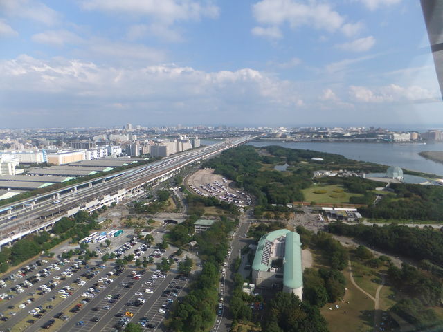 �_�C���ƉԂ̑�ϗ��Ԃ����t����_�_�C���ƉԂ̑�ϗ���