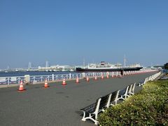 ɂǂ񂳂̓{XDXۂւ̓eʐ^1