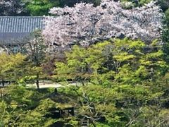 TKS����̔��F���ւ̓��e�ʐ^1