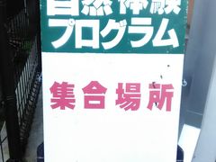 �肻�Ȃ���̎��R�̌��v���O�����ւ̓��e�ʐ^1