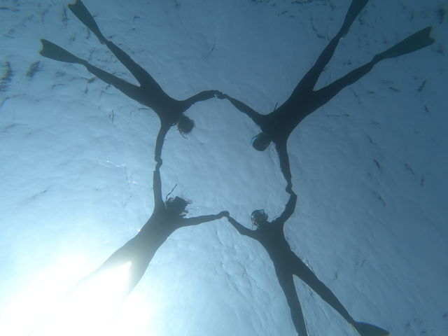 �C�ꂩ��̃V���b�g_�Ί_���}�����X�e�[�W �N���C��